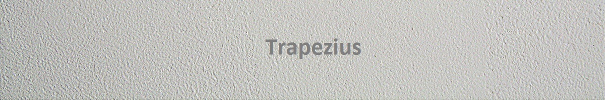 Trapezius